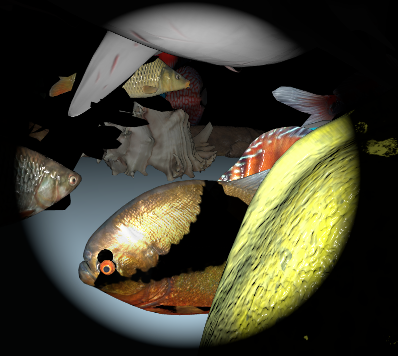 Flashlight pass catching a dense cluster of fish and shells