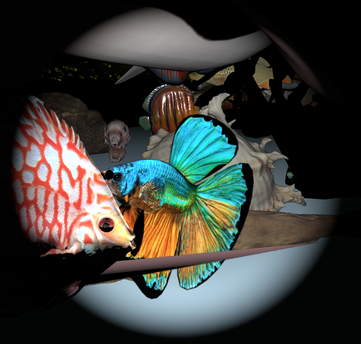 Flashlight pass revealing a bright fish silhouette and nearby sea forms