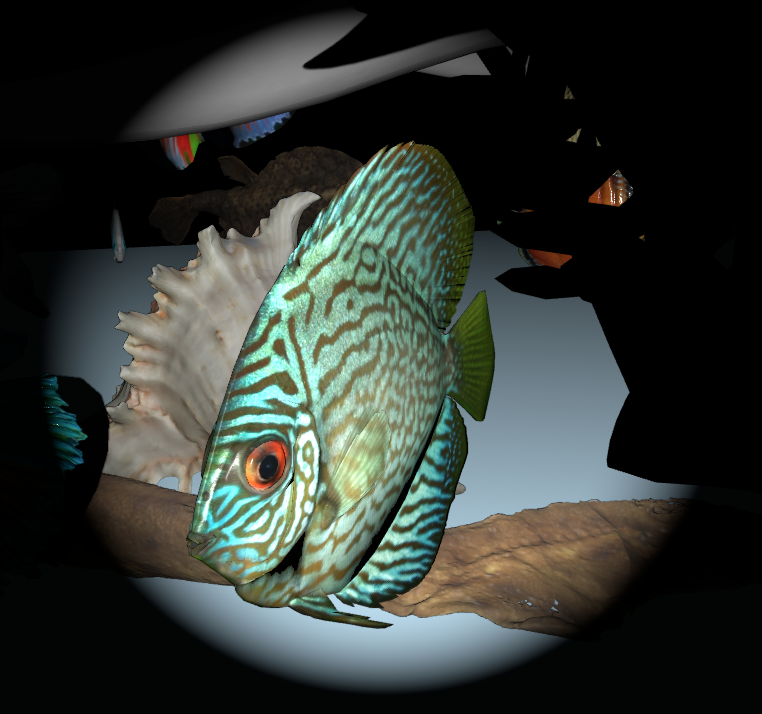 Flashlight pass highlighting a single fish close to the camera