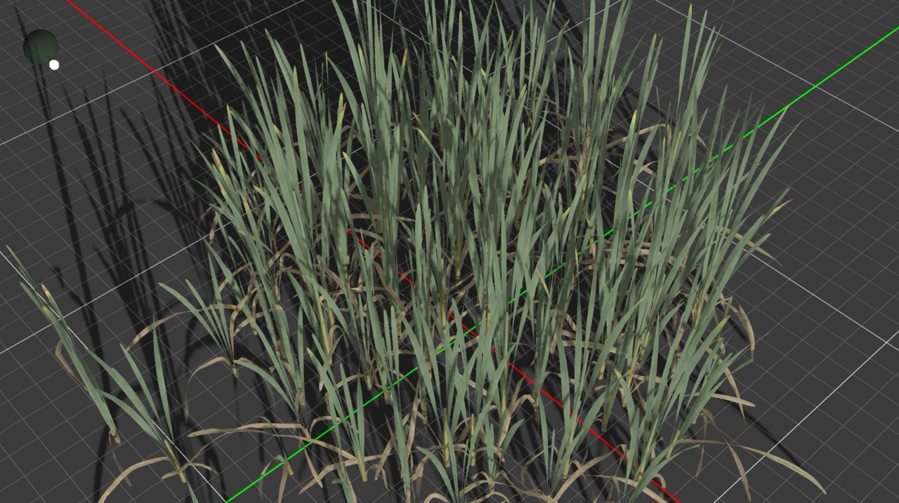 Younger, greener blades with upright posture