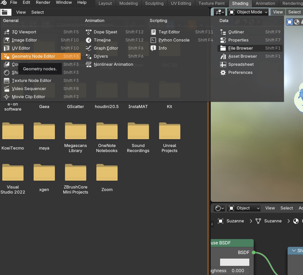 Geometry Nodes editor opened