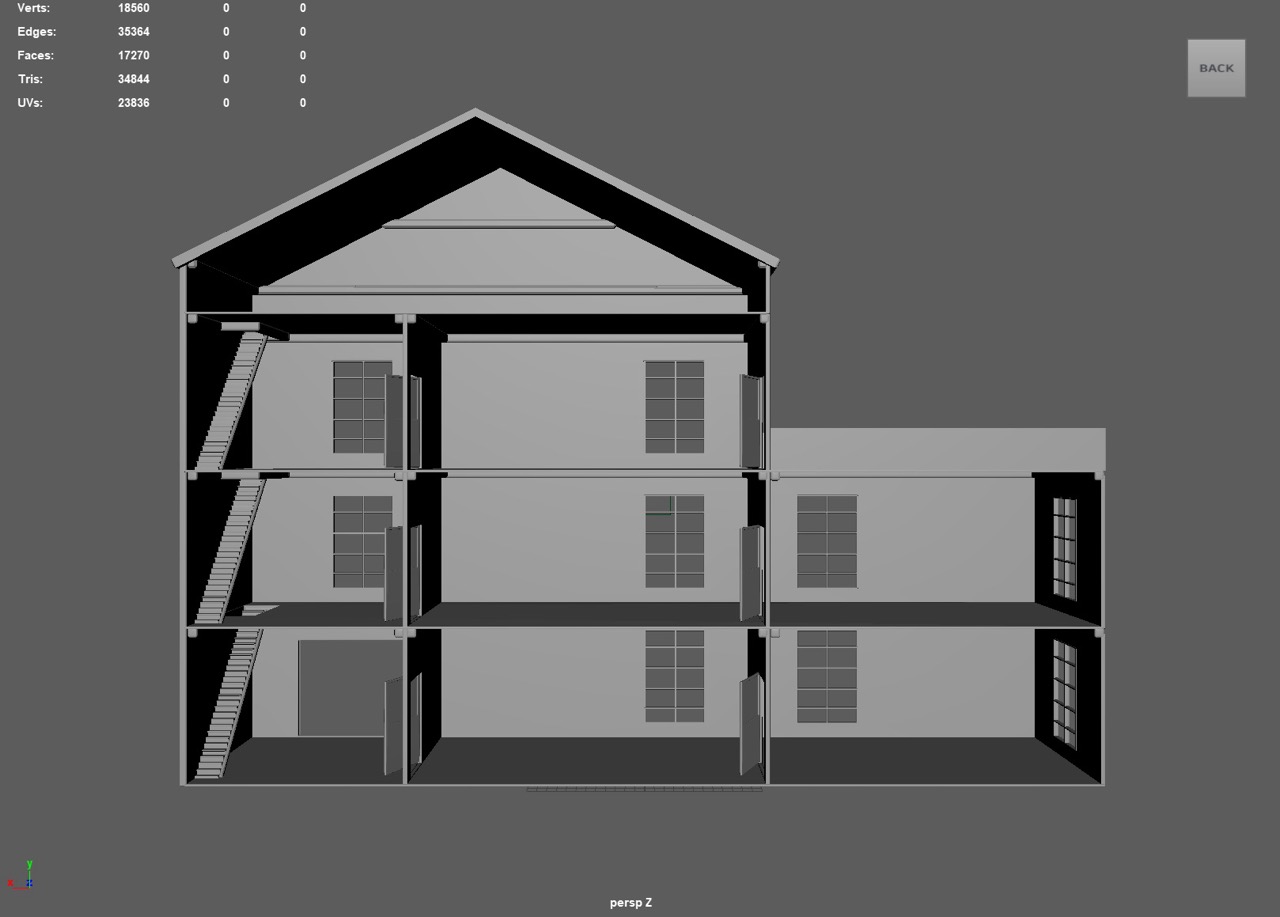 Perspective back