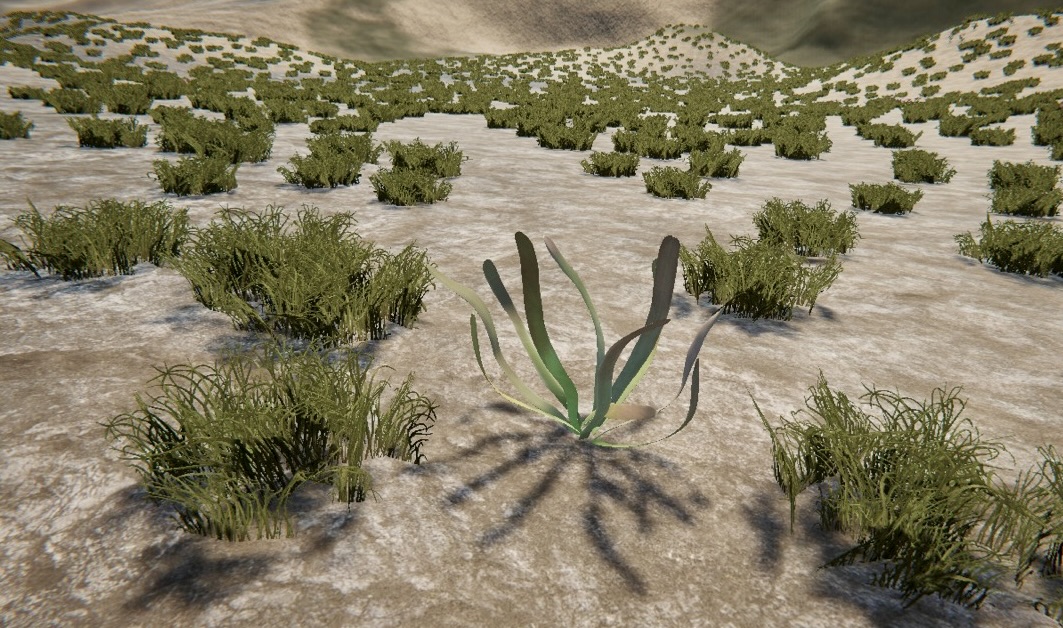 Turtlegrass Model for Marine Music, Memory, and Immersion, cover image